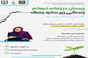 زیستن در زمانه ابهام؛ زندگی زیر سایه جنگ