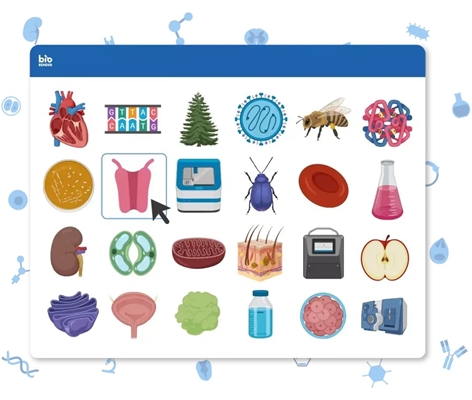  کاربردهای BioRender برای دانشجویان و پژوهشگران علوم پزشکی